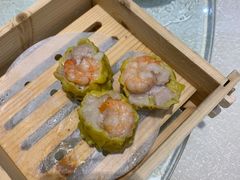 -顺德渔村·岭南一号
