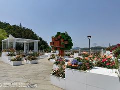 -深圳仙湖植物园