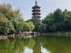 -红梅公园
