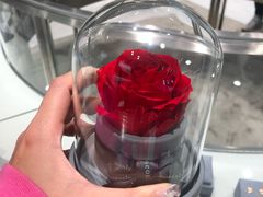 -ROSEONLY诺誓(广州K11店)