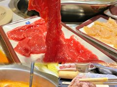 -重庆锦火锅(惠福东路店)