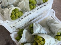 -马陆小张葡萄园农家乐