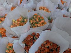 -循礼门鲜花花市(武汉循礼门店)