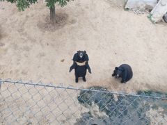 -石家庄市动物园