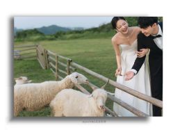 -花漾摄影优选工作室(东莞原创作品店)