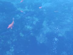 -百脉泉景区