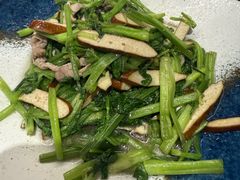 -阿巧茶庄