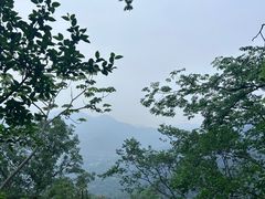 -灵顺寺