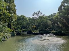 -上海醉白池公园