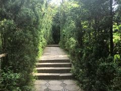 景点-南诏风情岛