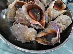 -四海蒸鲜蒸汽海鲜自助(北戴河店)