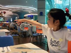 -帝企鹅自助餐厅•儿童岛•真企鹅(长隆企鹅酒店)