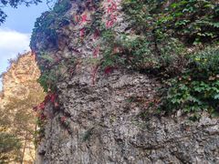 -大连冰峪旅游度假区