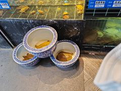 -桃园农庄烤全羊(江秋路店)
