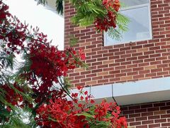 -海南清水湾莱佛士酒店