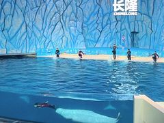 -珠海长隆海洋王国