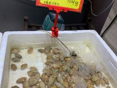 -蚝专家(北滘店)