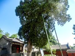 -北京凤凰岭
