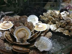 蒜蓉粉丝蒸扇贝-港畔赶海蒸汽海鲜烧烤自助(仙螺岛店)