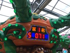 游乐设施-南宫五洲植物乐园