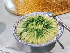 舍得-龙井草堂