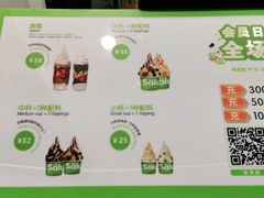 -Salud撒露欧洲冻酸奶(五道口购物中心店)