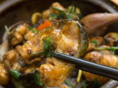 啫活鳗-旺爷砂锅·茶作(国贸城店)