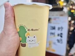 -猫的魔法密林(衣裳街店)