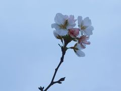 -苏州湾体育公园