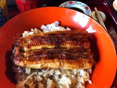 -料亭菊水楼