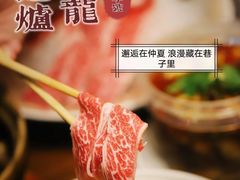 -金龙·打边炉(南京西路店)