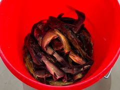 -谭记石锅鱼府(三道堰店)