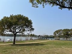 -上海都市菜园