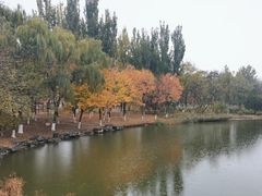 -大兴滨河森林公园