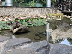 -明月山天沐温泉度假村