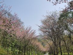 -西安祥峪森林公园