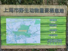 -上海佘山国家森林公园天马山园