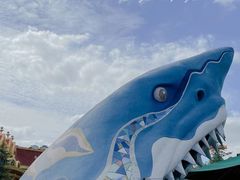 -上海海昌海洋公园
