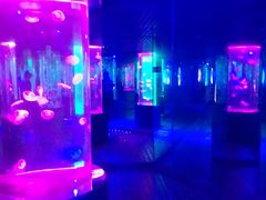 -南昌海洋公园