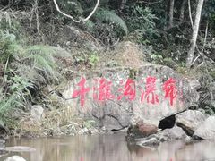 -千泷沟大瀑布旅游区