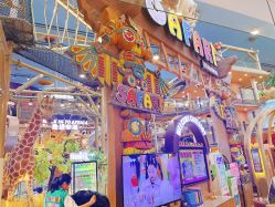 -卡通尼·Safari非洲探索乐园·生日会(金桥国际商业广场店)