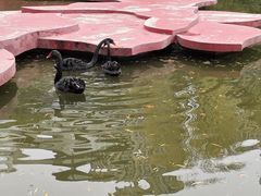 -西安曲江寒窑遗址公园