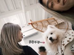 -星多哈·狗咖·拼豆·咖啡