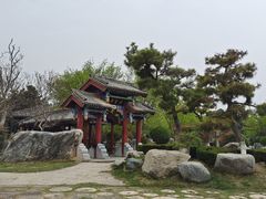 -中国唐苑