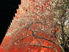 -钱王祠