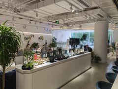 -张一元茶庄(望京店)