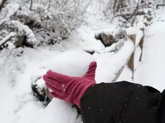 -青峰峡国家森林公园