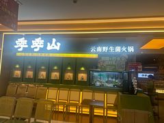 -季季山·云南野生菌火锅(上海首店)