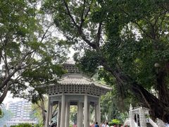 -荔湾湖公园