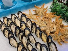 -蓝鲸湾汤泉(包河店)